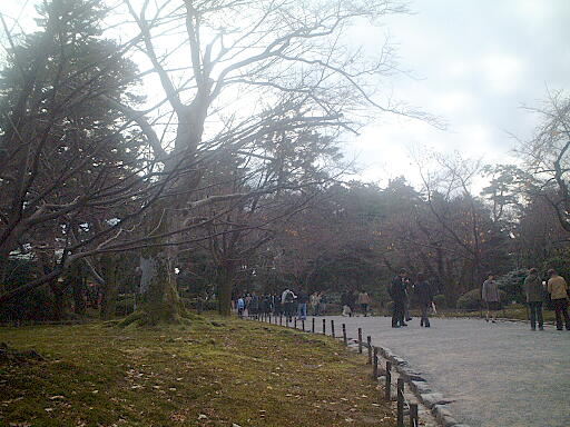 ���P���̎ʐ^(1)�i/gazo512/gazo021124/ken-sakuragaoka800.jpg�j
