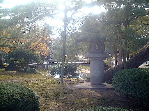 �������U�̎ʐ^(2)�i/gazo512/gazo021124/ken-tsukimitoro629.jpg�j