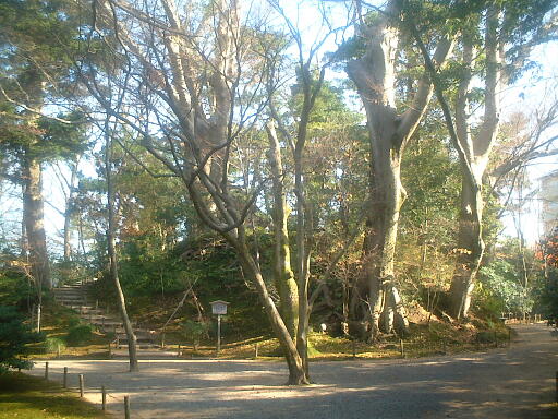 �R��R�E���(������)�̎ʐ^(1)�i/gazo512/gazo021124/ken-yamazakiyama530.jpg�j
