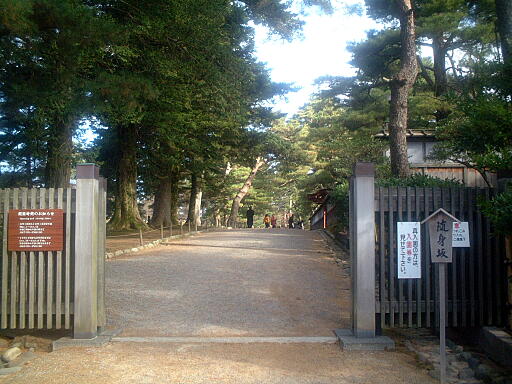 ���g��̎ʐ^(3)�i/gazo512/gazo021124/ken-zuishinzaka688.jpg�j