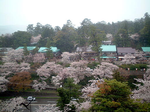 ���]�˒��̎ʐ^(5)�i/gazo512/gazo030412/edomachi4916.jpg�j