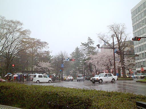 �S���Βʂ�̎ʐ^(4)�i/gazo512/gazo030412/hyakumangoku-dori4868.jpg�j