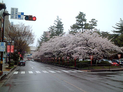 �S���Βʂ�̎ʐ^(2)�i/gazo512/gazo030412/hyakumangoku-dori5077.jpg�j