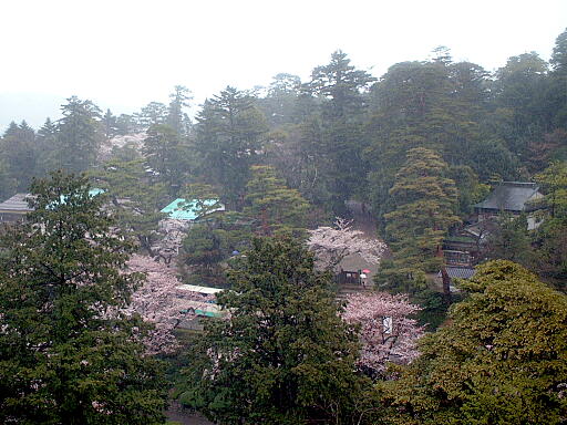 �@�r��̎ʐ^(7)�i/gazo512/gazo030412/ken-renchimon4910.jpg�j