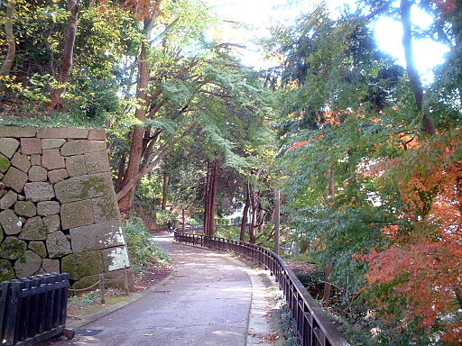 �������̎ʐ^(9)�i/gazo512/gazo031123/jo-imori7194.jpg�j