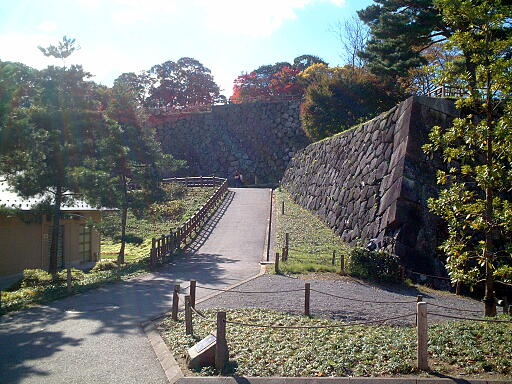 ����E(���ʂ��₮��)�Ղ̎ʐ^(10)�i/gazo512/gazo031123/jo-inui7149.jpg�j