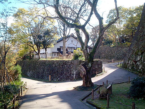 �ߊۑq�ɂ̎ʐ^(5)�i/gazo512/gazo031123/jo-tsurumaru7152.jpg�j
