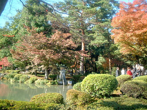 �J�f���U�̎ʐ^(7)�i/gazo512/gazo031123/ken-kotoji7096.jpg�j
