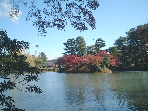 �e�s�m�̎ʐ^(5)�i/gazo512/gazo031123/ken-oyashirazu7051.jpg�j