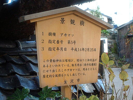 �M�D�_�Ђ̎ʐ^(2)�i/gazo512/gazo031123/kifune-myojin7282.jpg�j