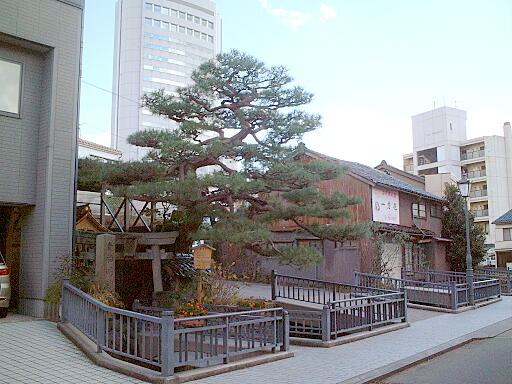 �M�D�_�Ђ̎ʐ^(4)�i/gazo512/gazo031123/kifune-myojin7286.jpg�j