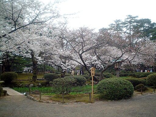 ���̎ʐ^(5)�i/gazo512/gazo040403/ken-itabashi8140.jpg�j