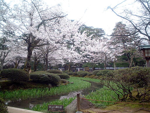 ���̎ʐ^(6)�i/gazo512/gazo040403/ken-itabashi8142.jpg�j