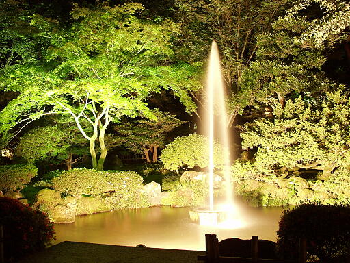 �̎ʐ^(2)�i/gazo512/gazo040613/ken-funsui-night0232.jpg�j