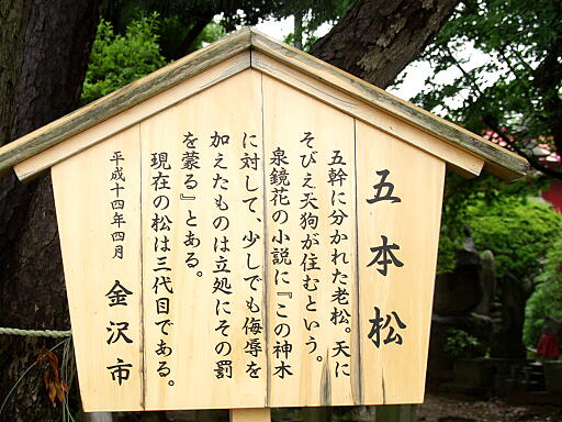 ��򎛁i�W�]�ǍD�j�̎ʐ^(3)�i/gazo512/gazo040626/hosenji0238.jpg�j