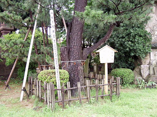 ��򎛁i�W�]�ǍD�j�̎ʐ^(2)�i/gazo512/gazo040626/hosenji0239.jpg�j