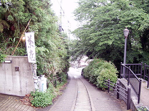 �q����̎ʐ^(1)�i/gazo512/gazo040626/kogi-saka0260.jpg�j
