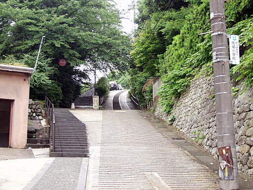 �q����̎ʐ^(2)�i/gazo512/gazo040626/kogi-saka0264.jpg�j