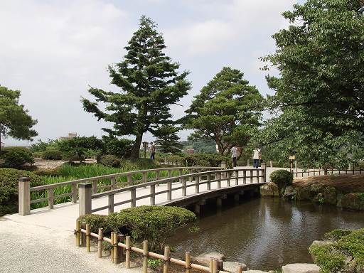 �؋��̎ʐ^(1)�i/gazo512/gazo040703/ken-kibashi7030333.jpg�j