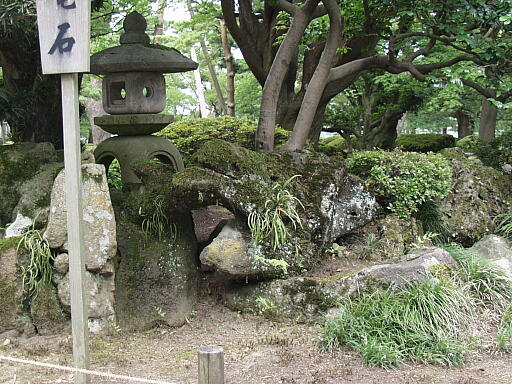���΂̎ʐ^(3)�i/gazo512/gazo040703/ken-ryuseki7030317.jpg�j