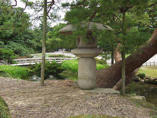 �������U�̎ʐ^(1)�i/gazo512/gazo040703/ken-tsukimitoro7030375.jpg�j
