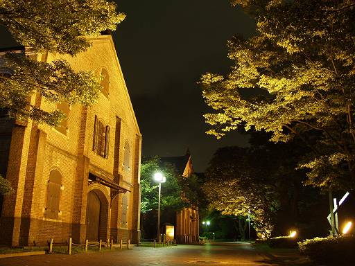 �������j������(��)�̎ʐ^(6)�i/gazo512/gazo040711/rekishi-hakubutsu-night7110658.jpg�j