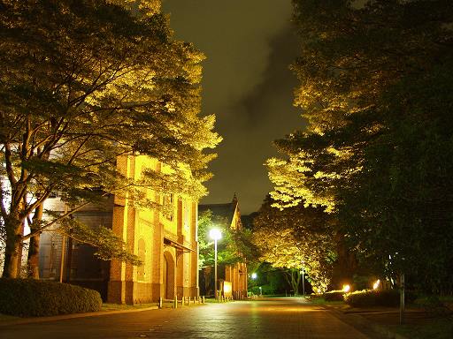 �������j������(��)�̎ʐ^(2)�i/gazo512/gazo040711/rekishi-hakubutsu-night7110660.jpg�j