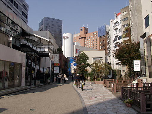 �`�ؔ��̎ʐ^(1)�i/gazo512/gazo041107/kakinokibatakeB071430.jpg�j