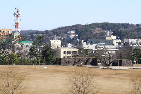 ����̎ʐ^(3)�i/guide/gazo540/g080211/jo-otemonDSCF7048.JPG�j