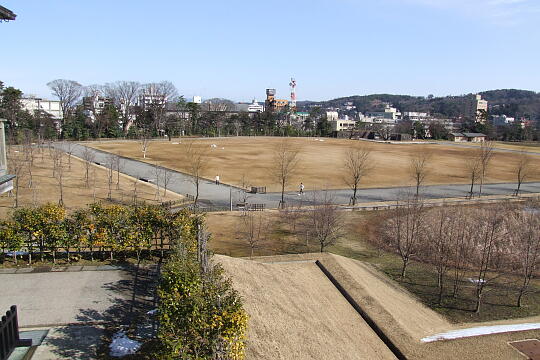 �V�ۍL��̎ʐ^(1)�i/guide/gazo540/g080211/jo-shinmaruDSCF7044.JPG�j