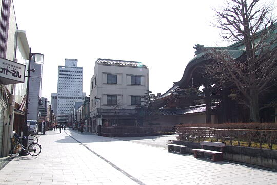 �����]���̎ʐ^(5)�i/guide/gazo540/g080211/yokoyasueDSCF7287.JPG�j
