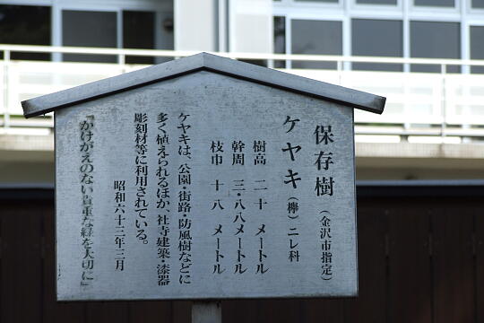 �v�ێs�����{�̎ʐ^(5)�i/guide/gazo540/g090818/kuboichiDSCF8204.JPG�j