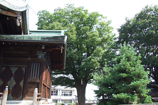 �v�ێs�����{�̎ʐ^(3)�i/guide/gazo540/g090818/kuboichiDSCF8209.JPG�j