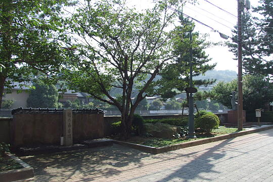 ��̔������E��̔�����̎ʐ^(2)�i/guide/gazo540/g090818/takinoshiroito-zoDSCF7920.JPG�j